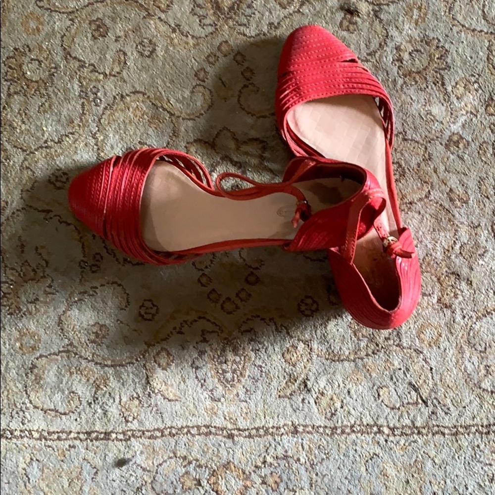 Red Sandle’s
